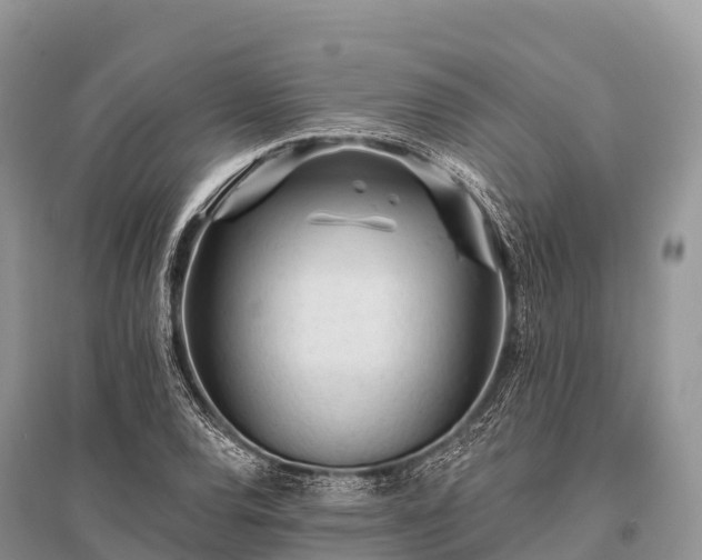 X0000096151120200801251058
