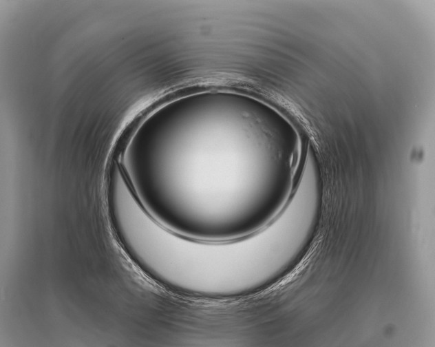 X0000096151122200801251058