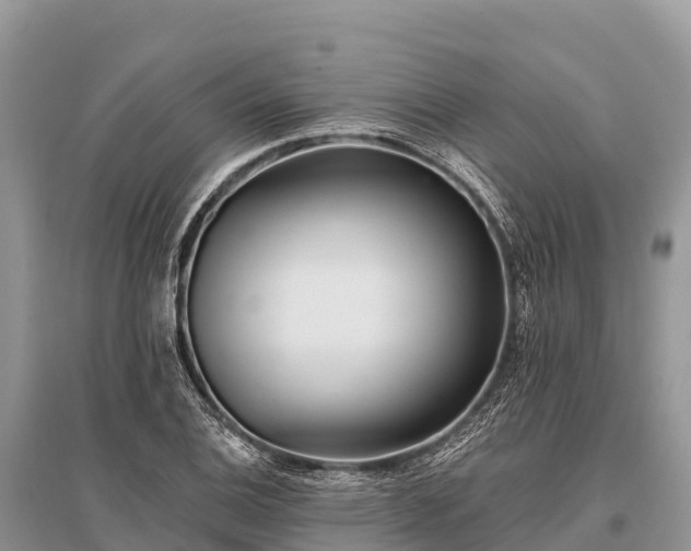 X0000096151124200801251058