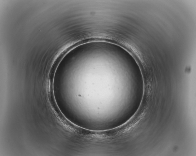 X0000096151125200801251058