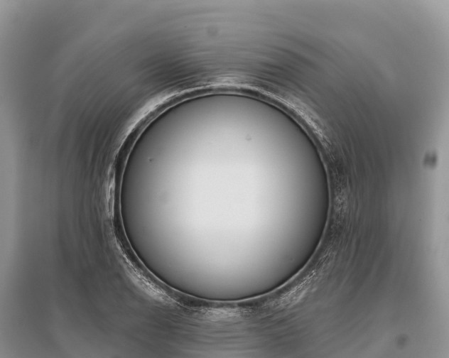 X0000096151126200801251058