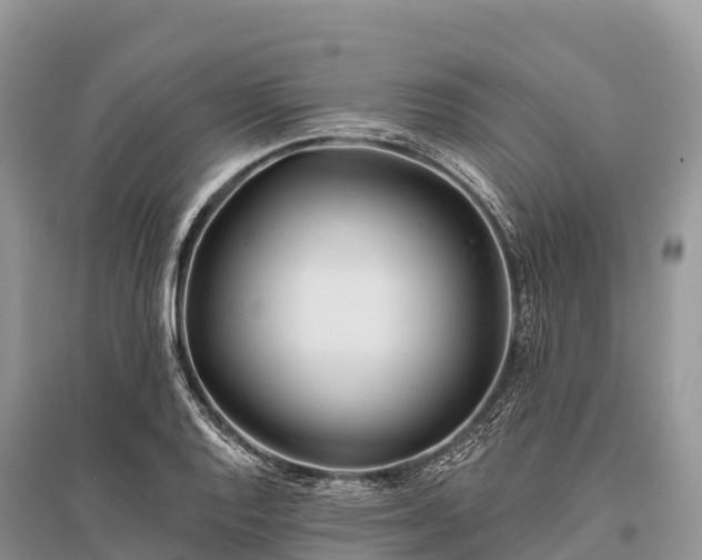 X0000096151128200801251058