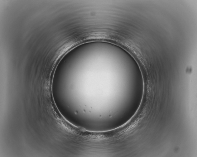 X0000096151129200801251058