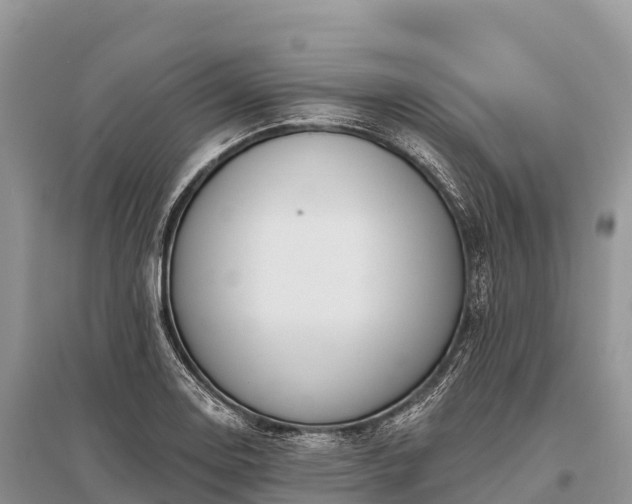 X0000096151130200801251058