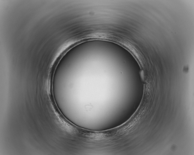 X0000096151131200801251058