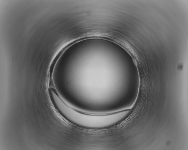 X0000096151132200801251058