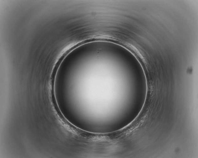 X0000096151133200801251058