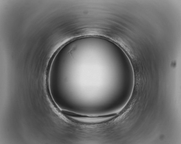 X0000096151134200801251058