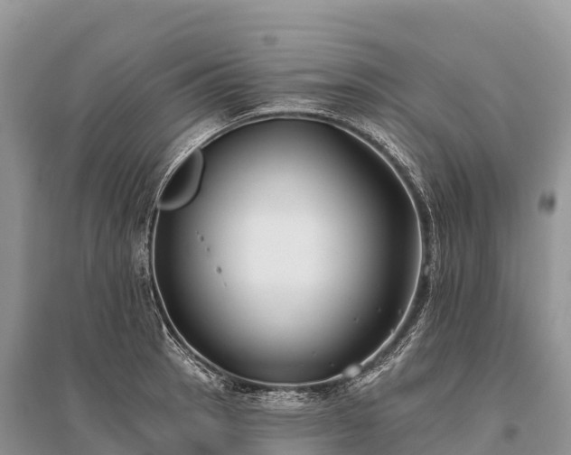X0000096151137200801251058