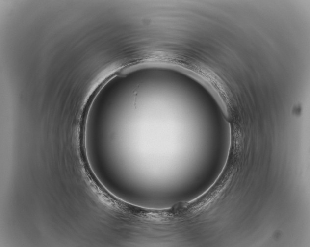X0000096151138200801251058