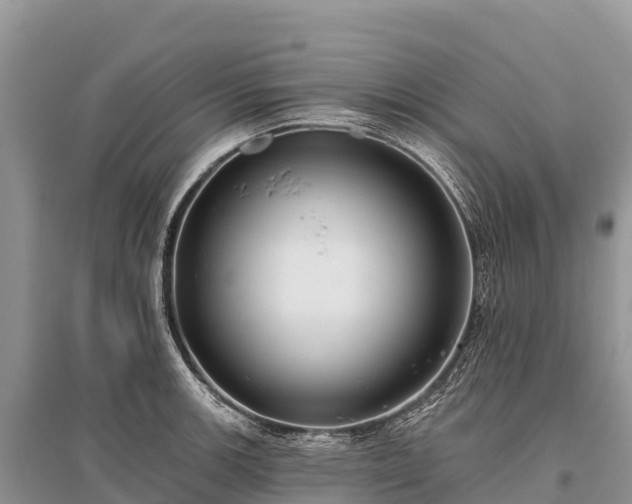 X0000096151139200801251058