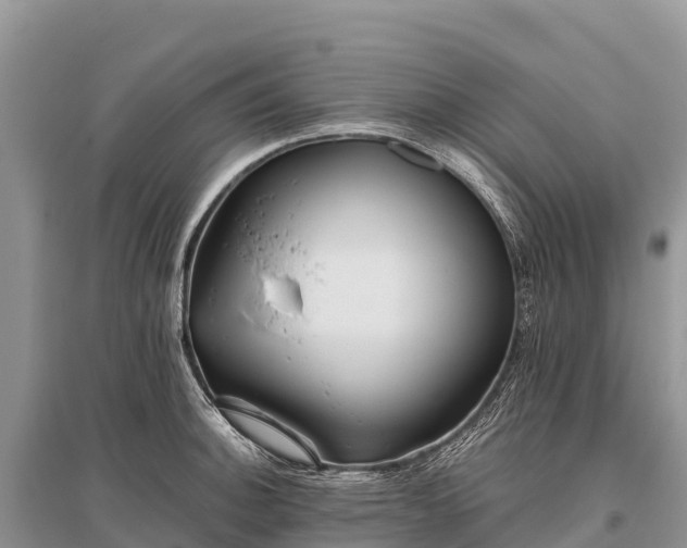X0000096151140200801251058