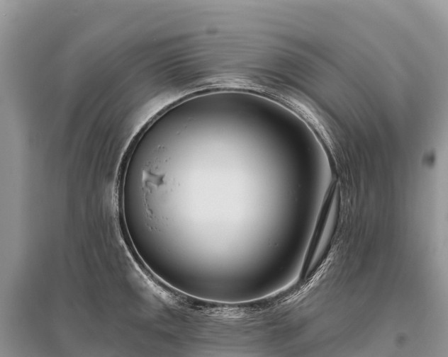 X0000096151141200801251058