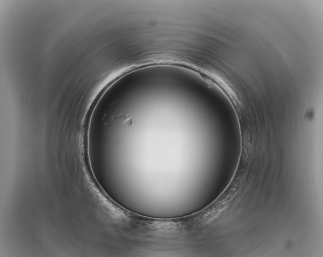 X0000096151142200801251058