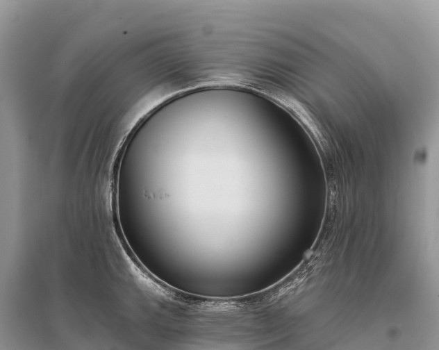 X0000096151143200801251058