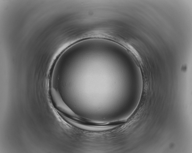 X0000096151144200801251058