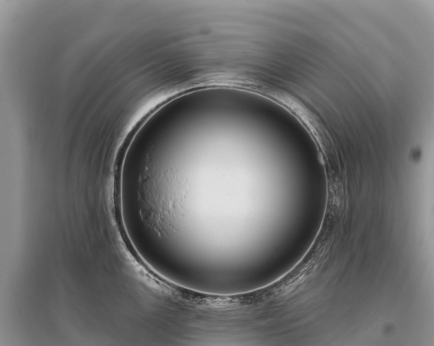 X0000096151147200801251059