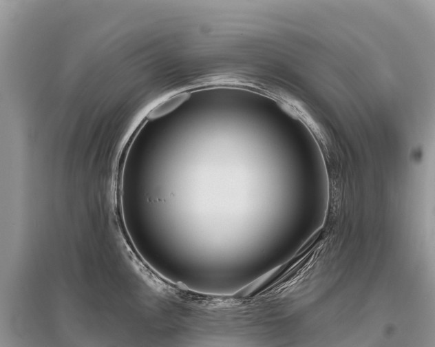 X0000096151148200801251059