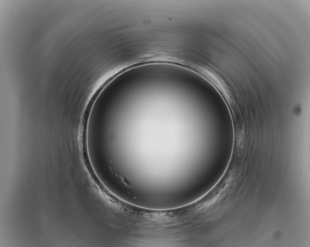 X0000096151149200801251059