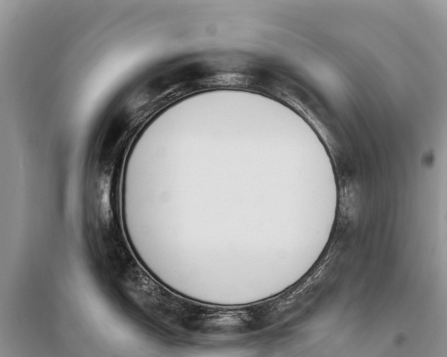 X0000096151150200801251059