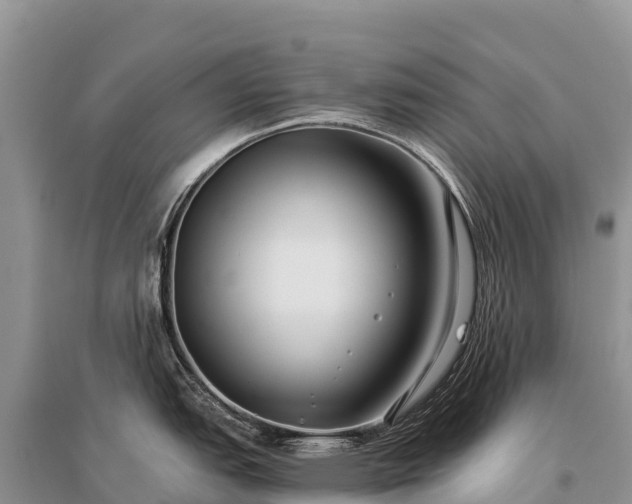 X0000096151151200801251059