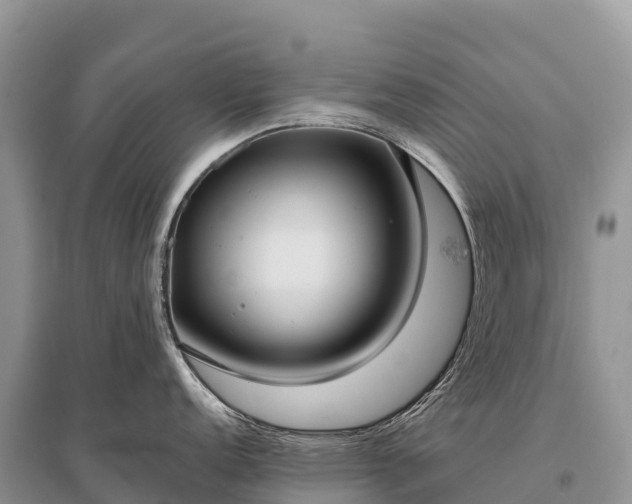 X0000096151152200801251059