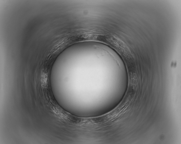X0000096151154200801251058