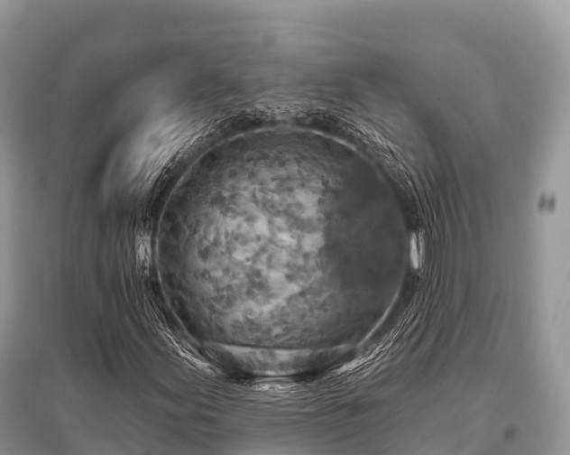 X0000096151155200801251058