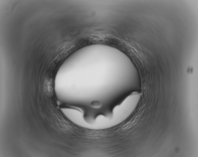 X0000096151156200801251058