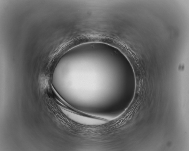 X0000096151157200801251058