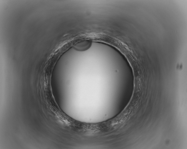 X0000096151158200801251058