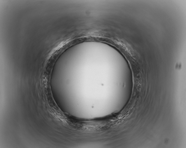 X0000096151159200801251058