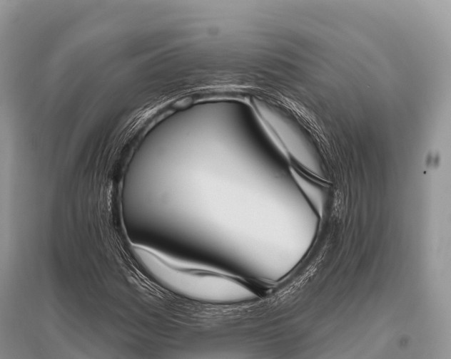 X0000096151161200801251058