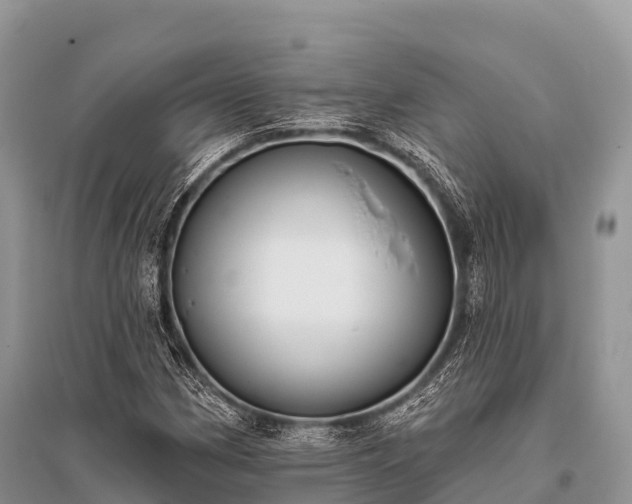 X0000096151162200801251058