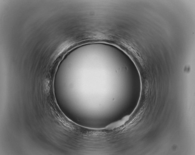 X0000096151163200801251058