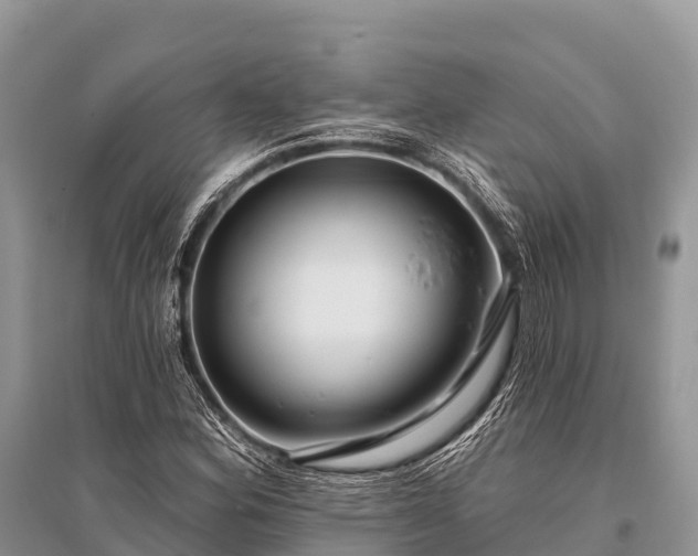 X0000096151164200801251058