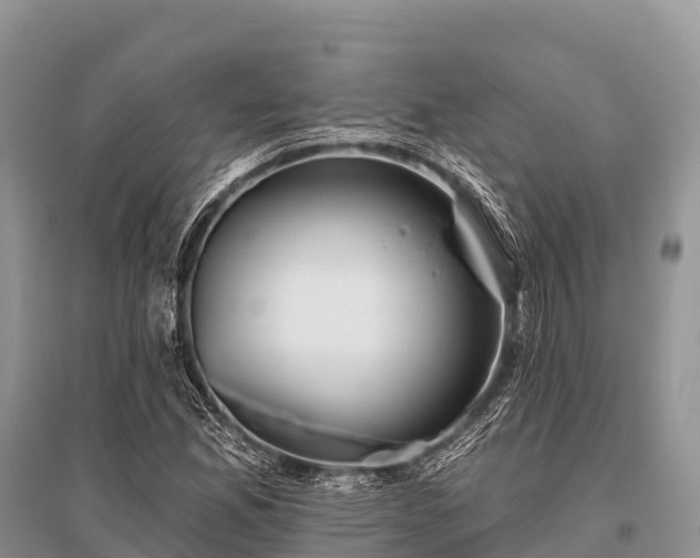 X0000096151165200801251058