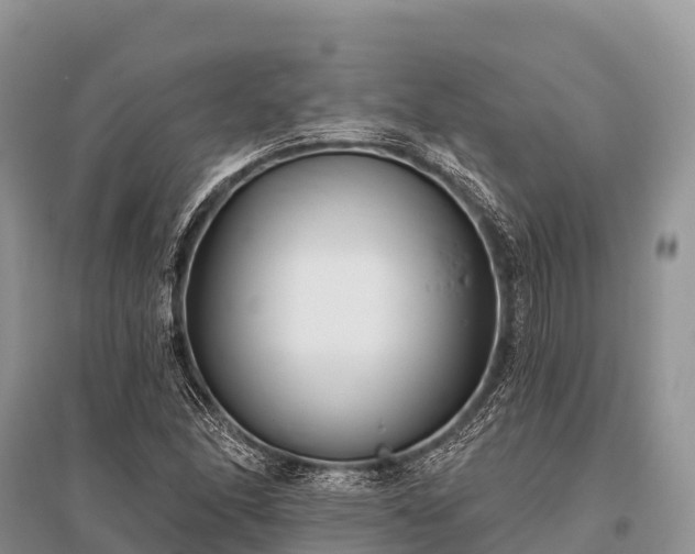 X0000096151166200801251058