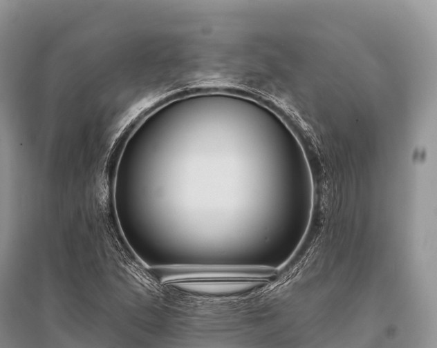 X0000096151167200801251058
