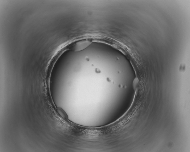 X0000096151168200801251058