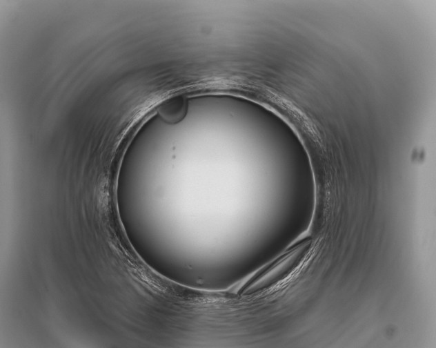 X0000096151170200801251058