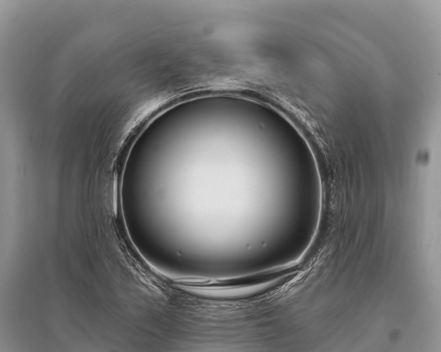 X0000096151171200801251058