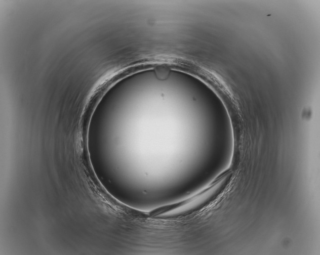 X0000096151172200801251057