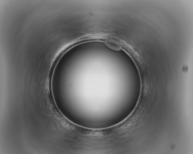 X0000096151174200801251057