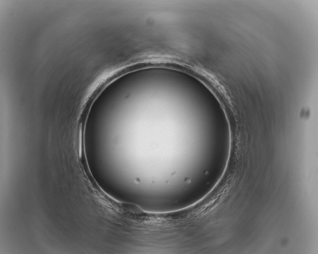 X0000096151175200801251057