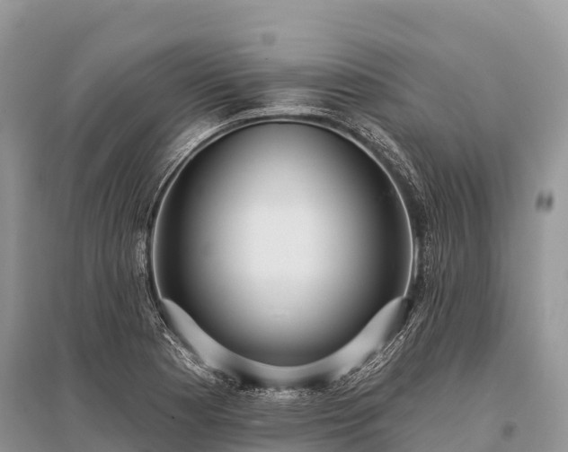 X0000096151177200801251057