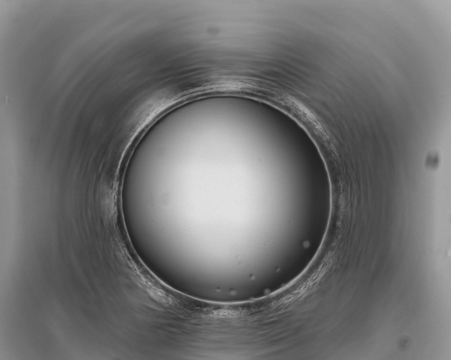 X0000096151178200801251057