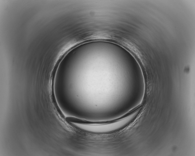 X0000096151179200801251057