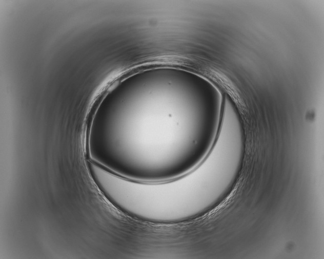 X0000096151180200801251057