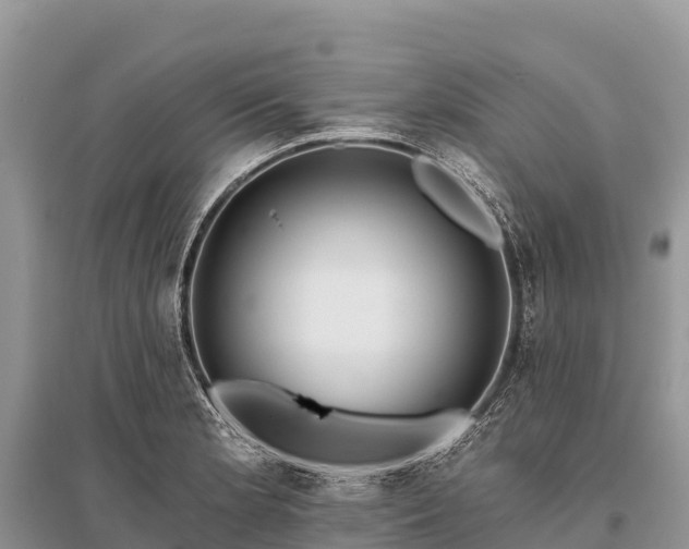 X0000096151181200801251057